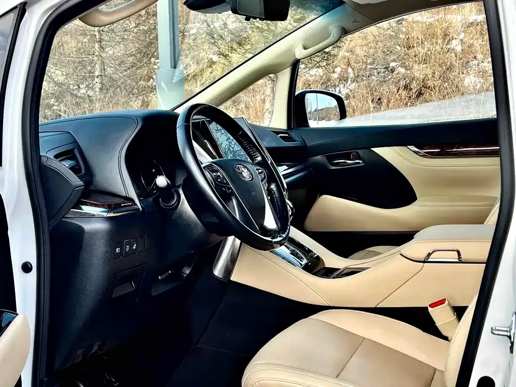 Toyota Alphard 2021 из CN, фото 6