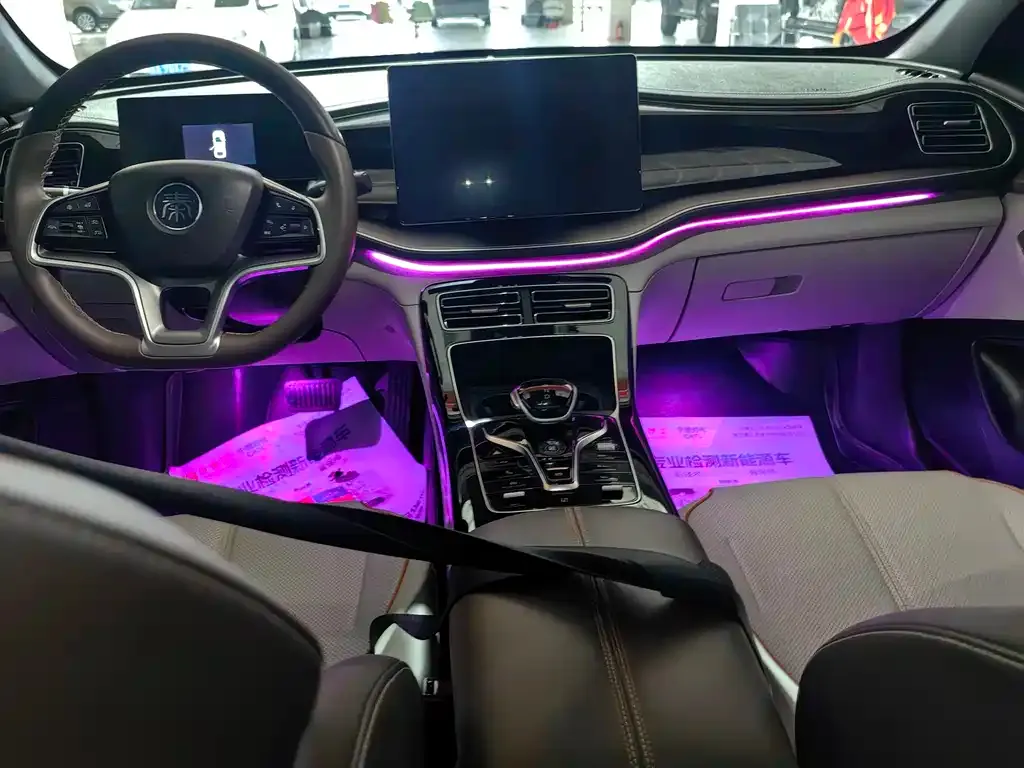 BYD Qin PLUS — фото 5