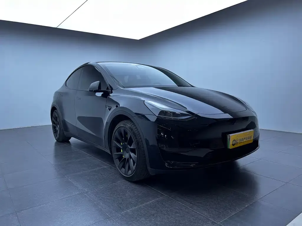 Tesla Model Y 2023 из CN, фото 1
