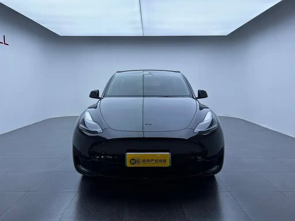 Tesla Model Y 2023 из CN, фото 2