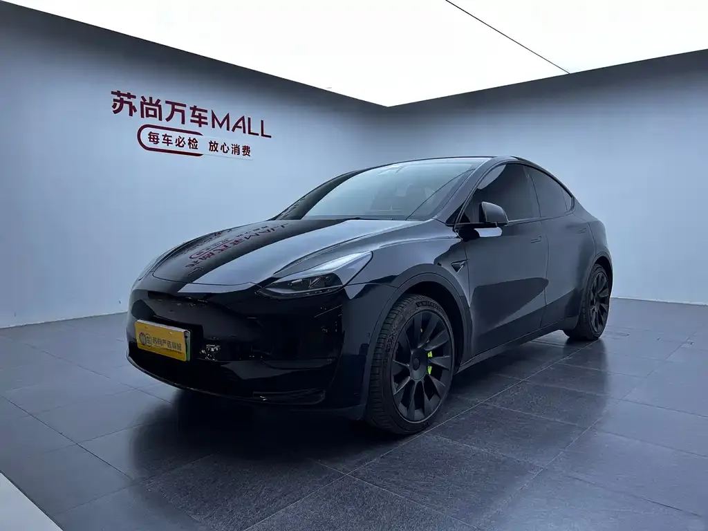 Tesla Model Y 2023 из CN, фото 6
