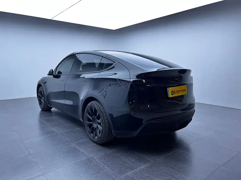 Tesla Model Y 2023 из CN, фото 5