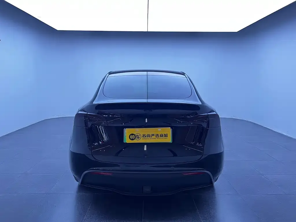 Tesla Model Y 2023 из CN, фото 4