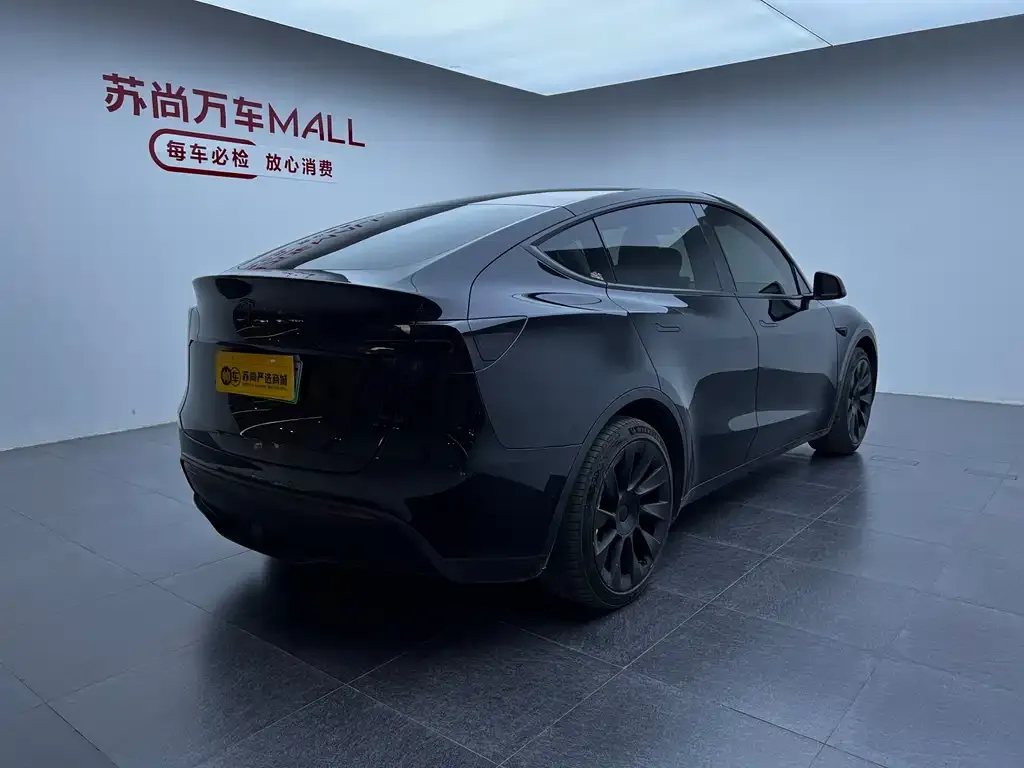 Tesla Model Y 2023 из CN, фото 9