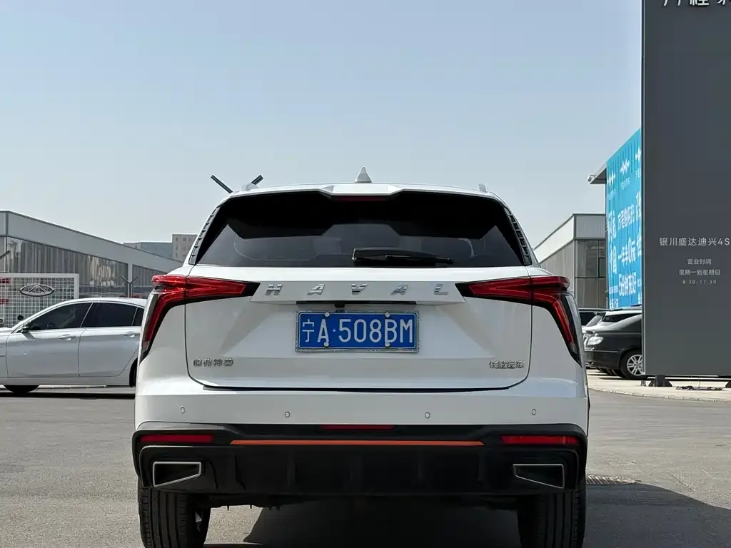 Haval Shenshou 2022 из CN, фото 2