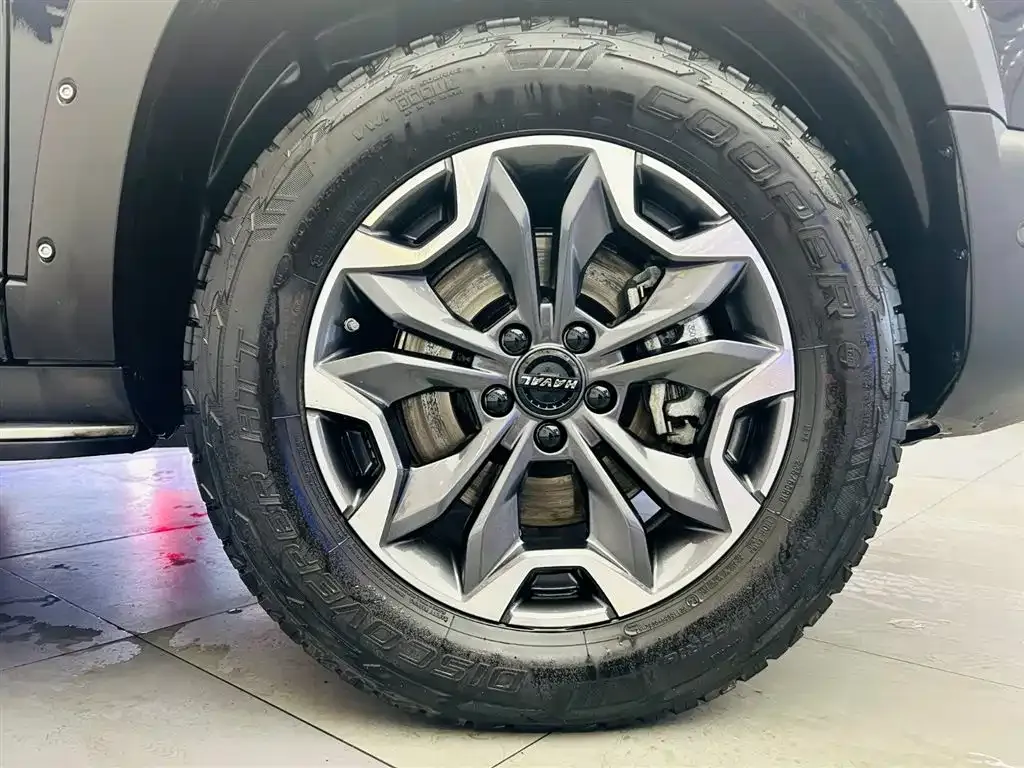 Haval Big Dog 2023 из CN, фото 9