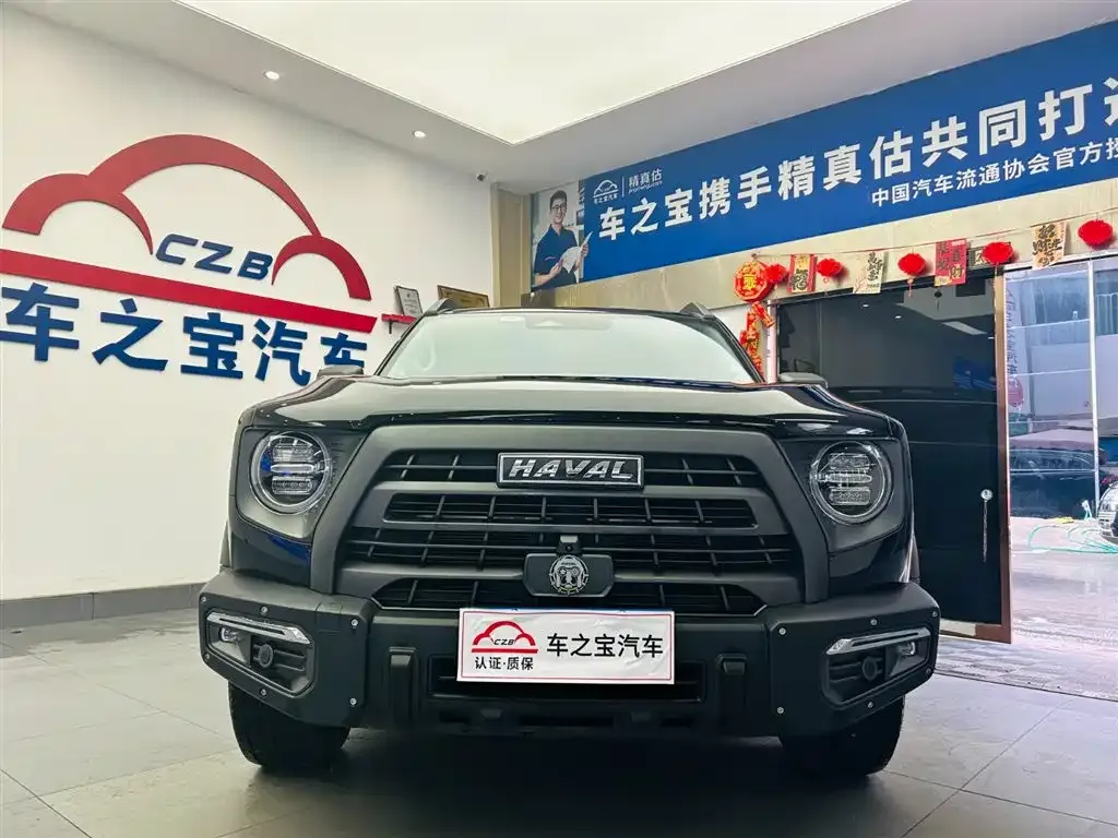 Haval Big Dog 2023 из CN, фото 6