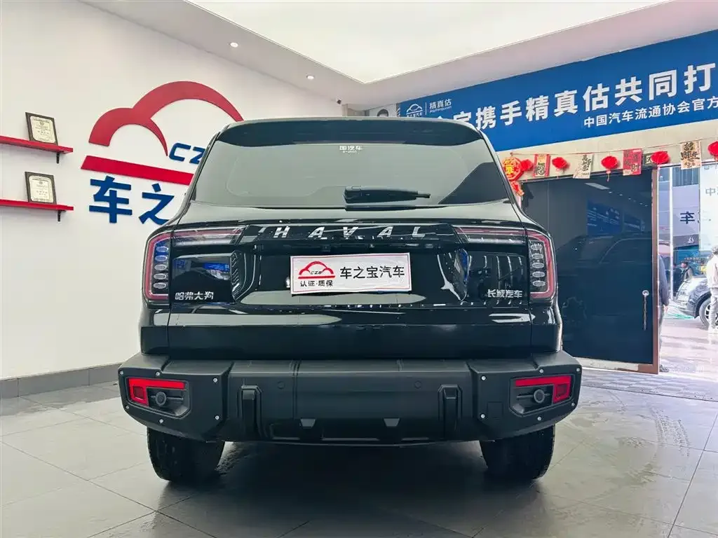 Haval Big Dog 2023 из CN, фото 7
