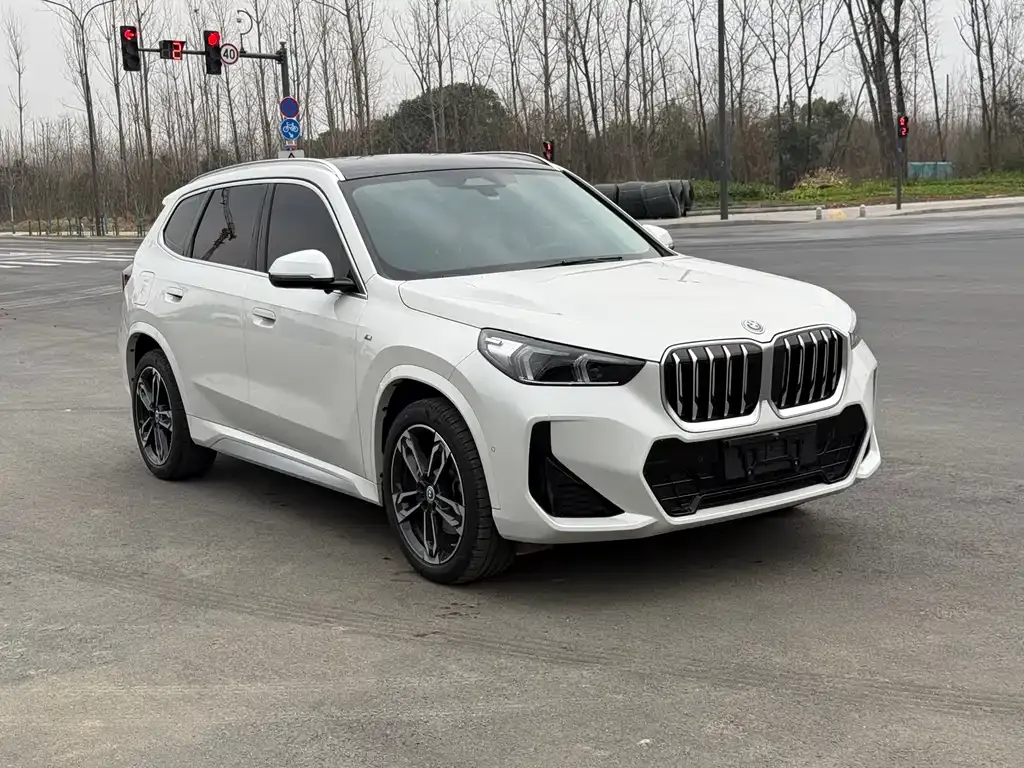 BMW X1 2023 из CN, фото 9