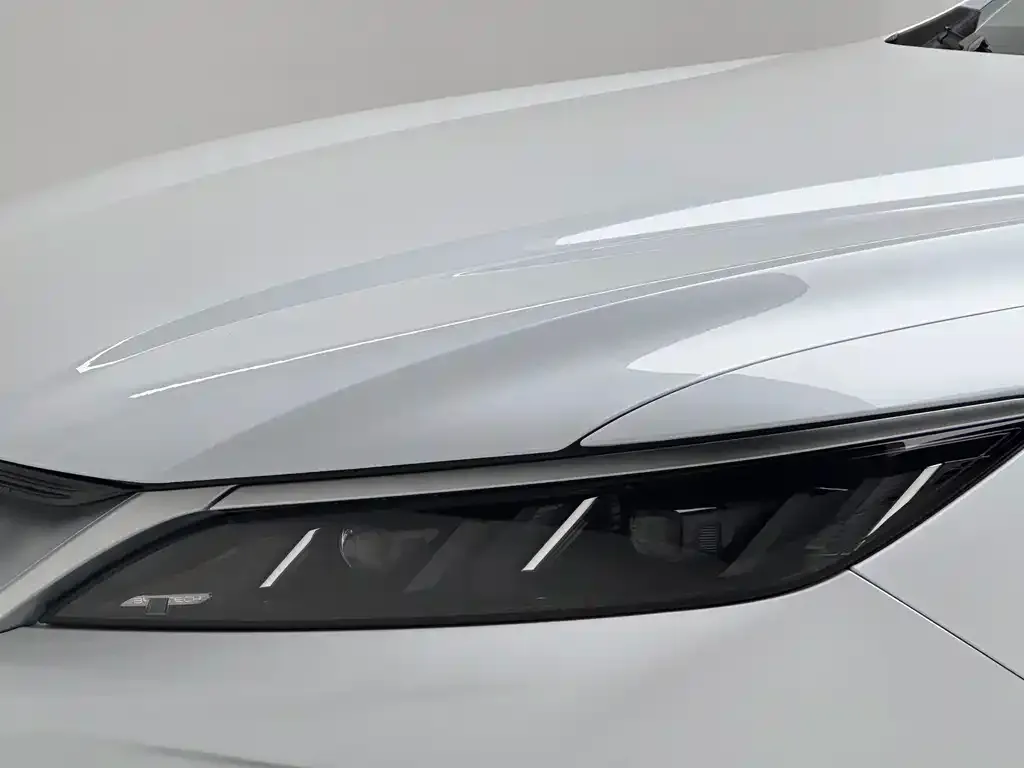 BYD Pro New Energy — фото 8