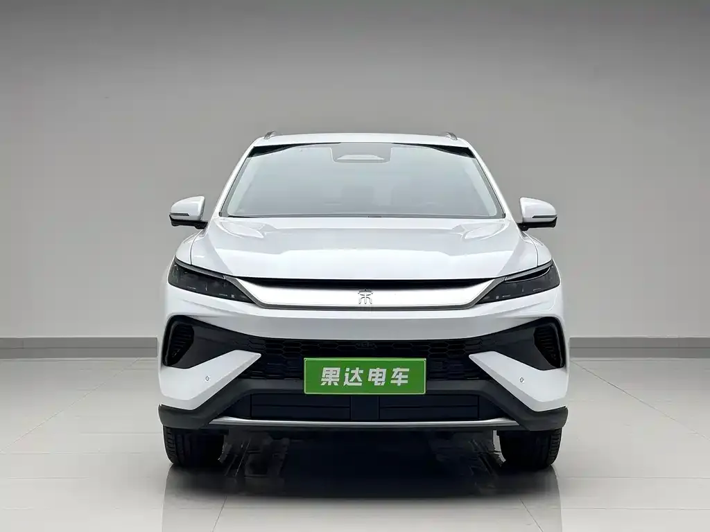 BYD Pro New Energy — фото 2