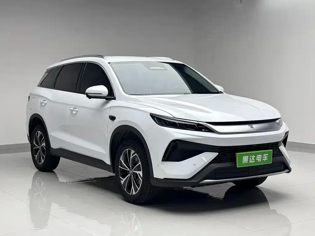 BYD Pro New Energy — фото 3