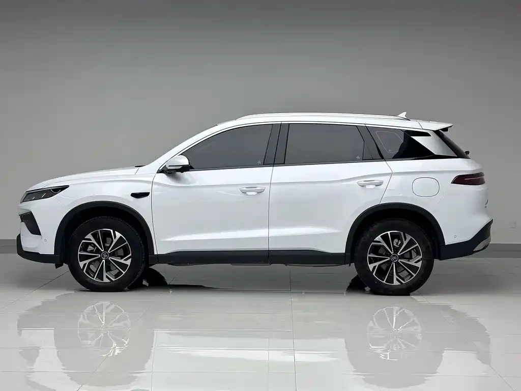 BYD Pro New Energy — фото 9