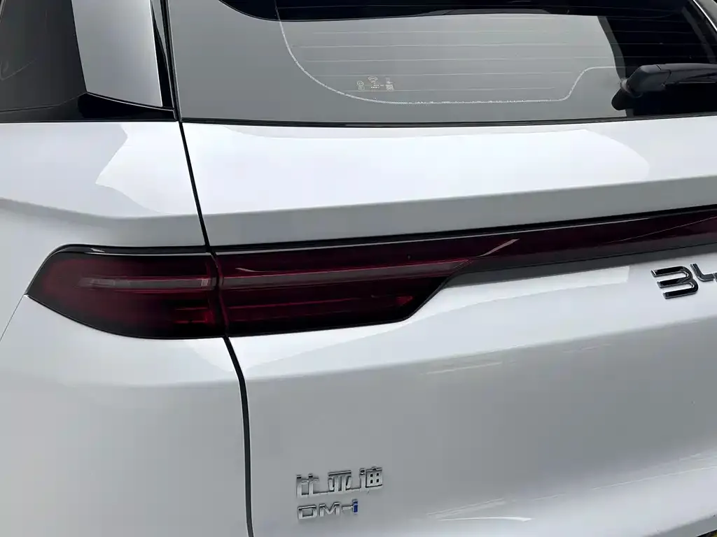 BYD Pro New Energy — фото 10