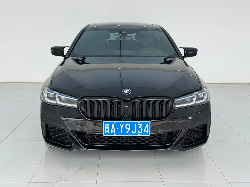 BMW 5 Series 2021 из CN, фото 10