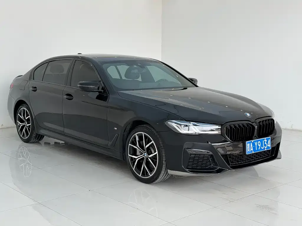 BMW 5 Series 2021 из CN, фото 6