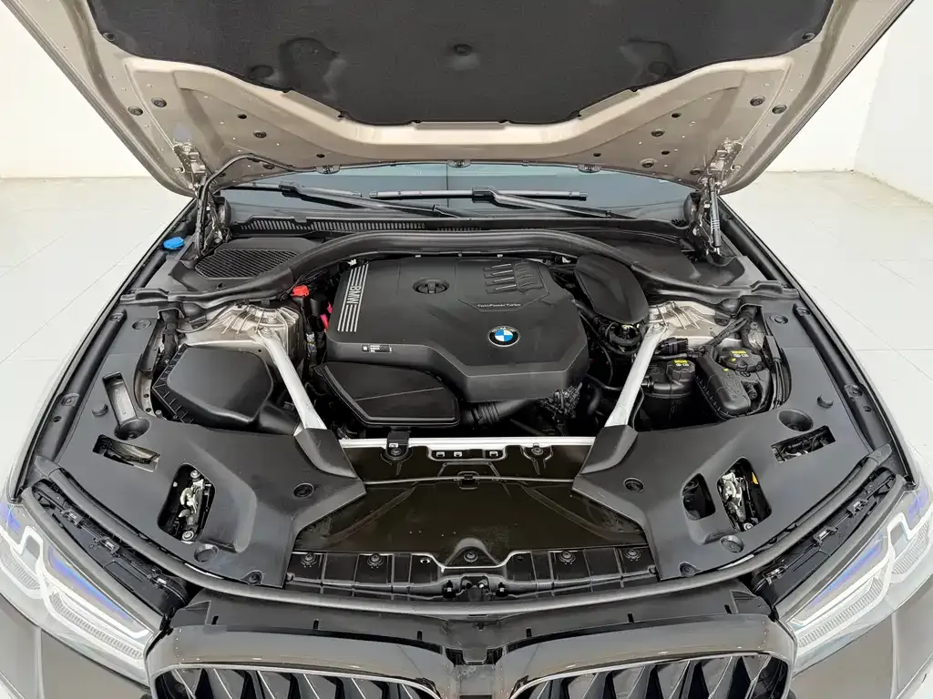 BMW 5 Series 2021 из CN, фото 9