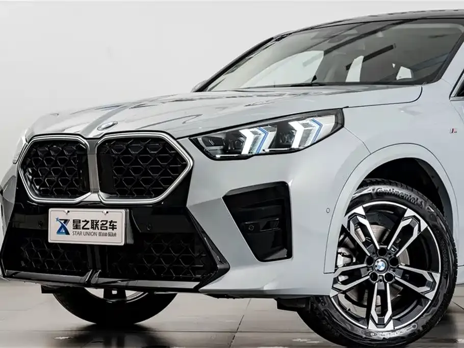 BMW X2 (Import) — фото 10
