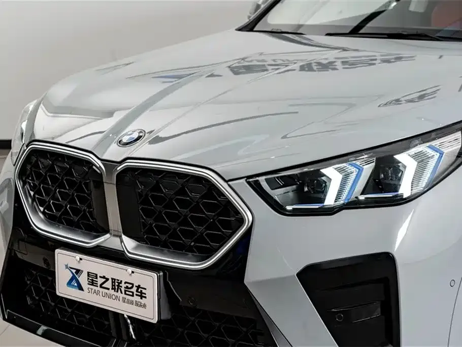 BMW X2 (Import) — фото 6
