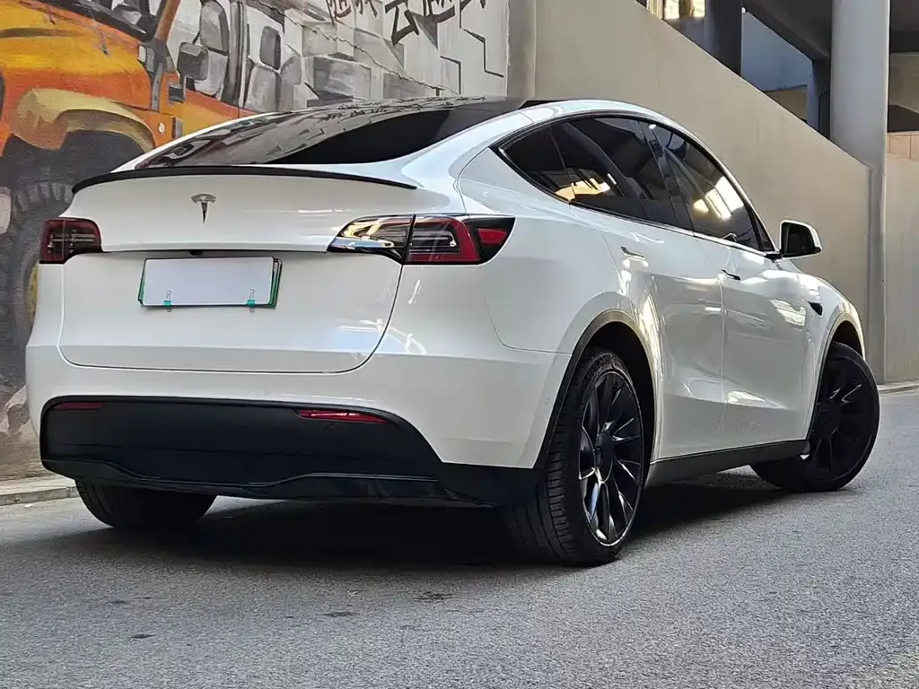 Tesla Model Y — фото 9