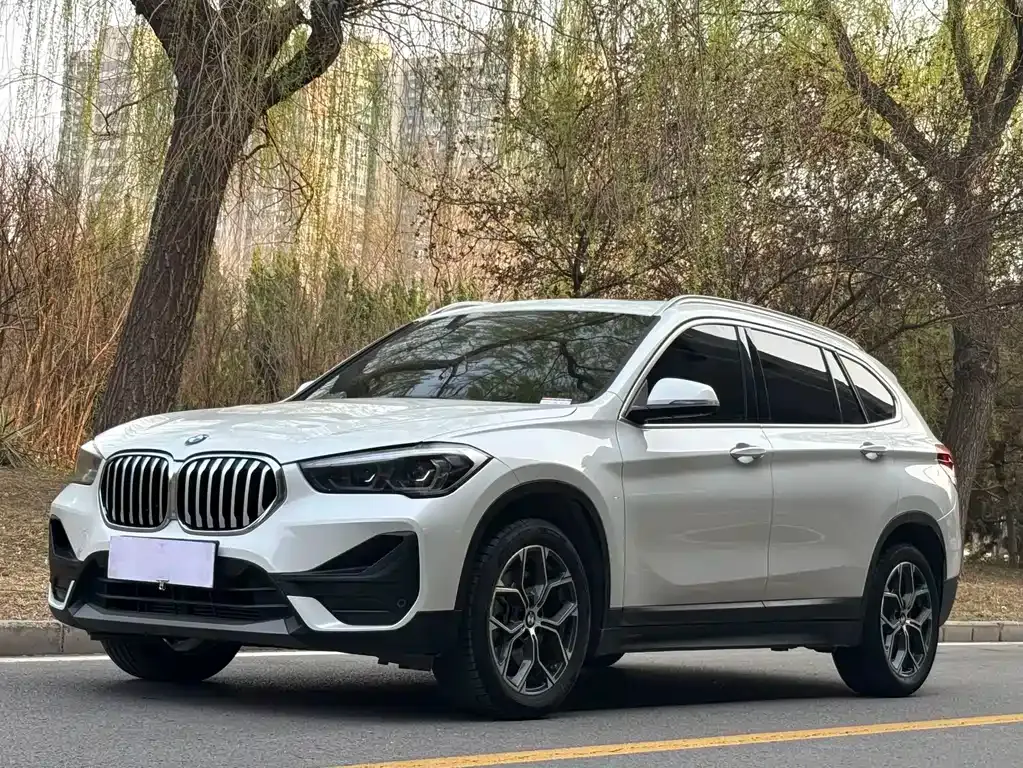 BMW X1 — фото 1