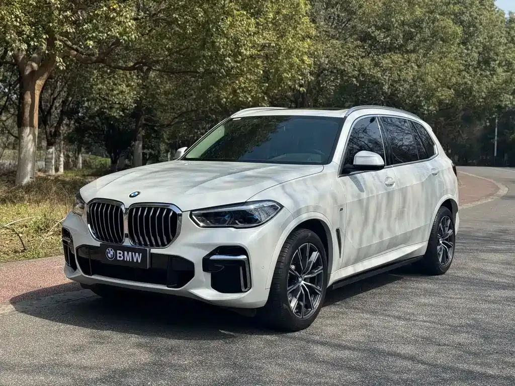 BMW X5 2023 из CN, фото 1