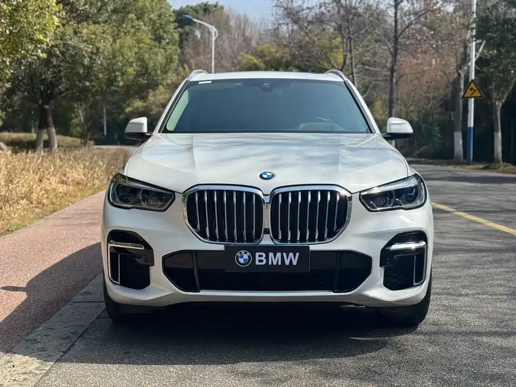 BMW X5 2023 из CN, фото 6