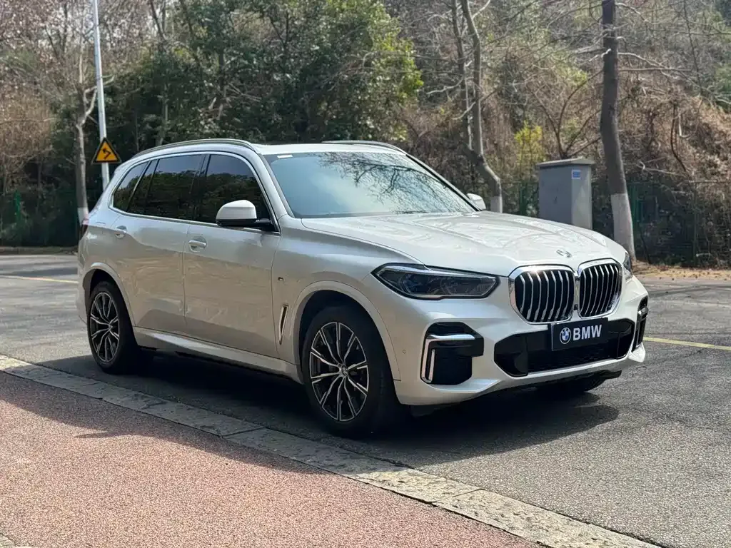 BMW X5 2023 из CN, фото 9