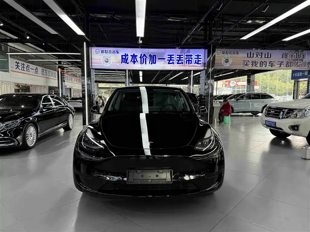 Tesla Model Y 2024 из CN, фото 7