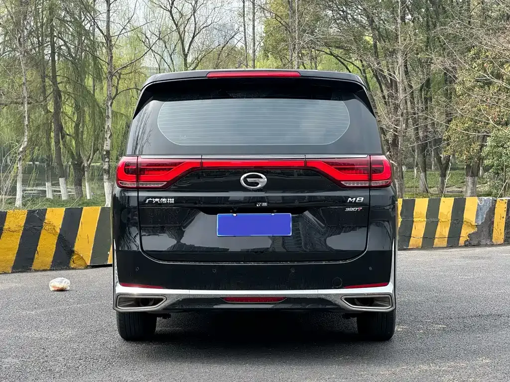 GAC Motor Trumpchi M8 — фото 5