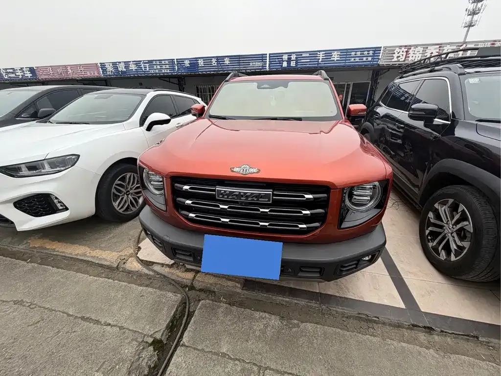 Haval Big Dog 2021 из CN, фото 8