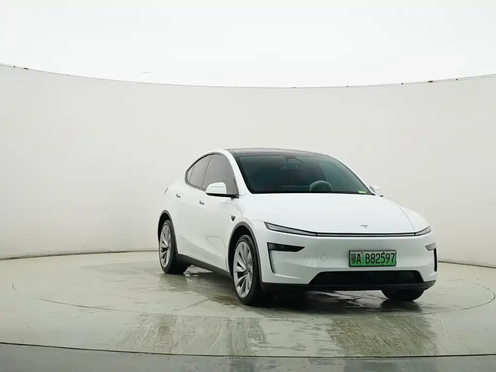 Tesla Model Y — фото 10