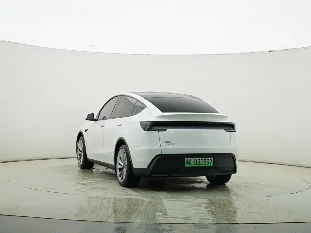 Tesla Model Y — фото 9