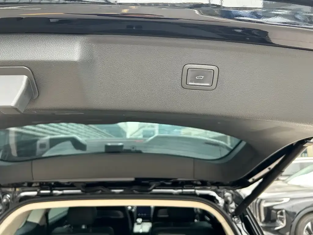 Hongqi HS7 PHEV 2024 из CN, фото 10