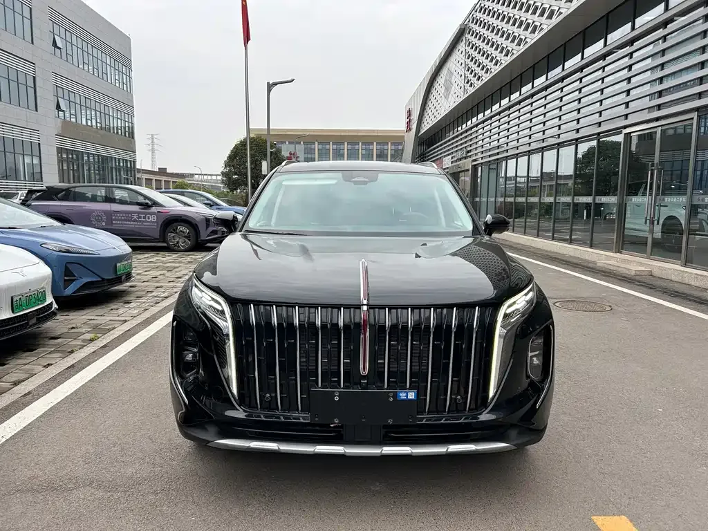 Hongqi HS7 PHEV 2024 из CN, фото 7