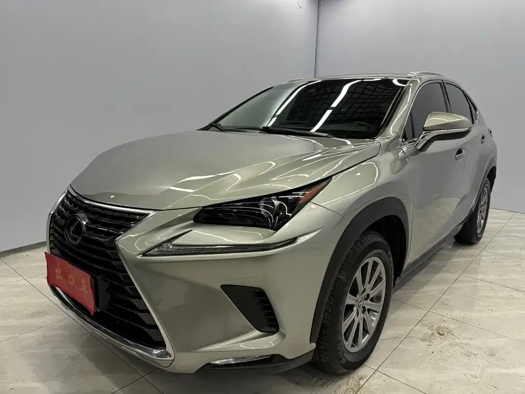 Lexus NX 2021 из CN, фото 1