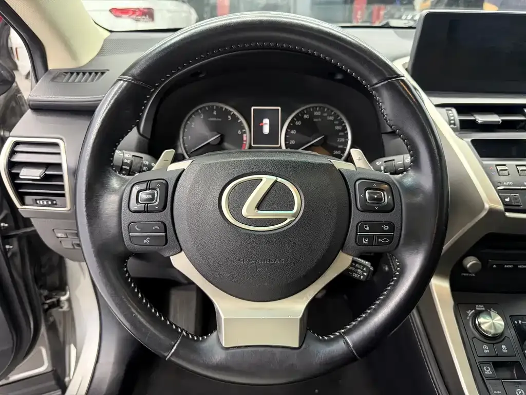 Lexus NX 2021 из CN, фото 8