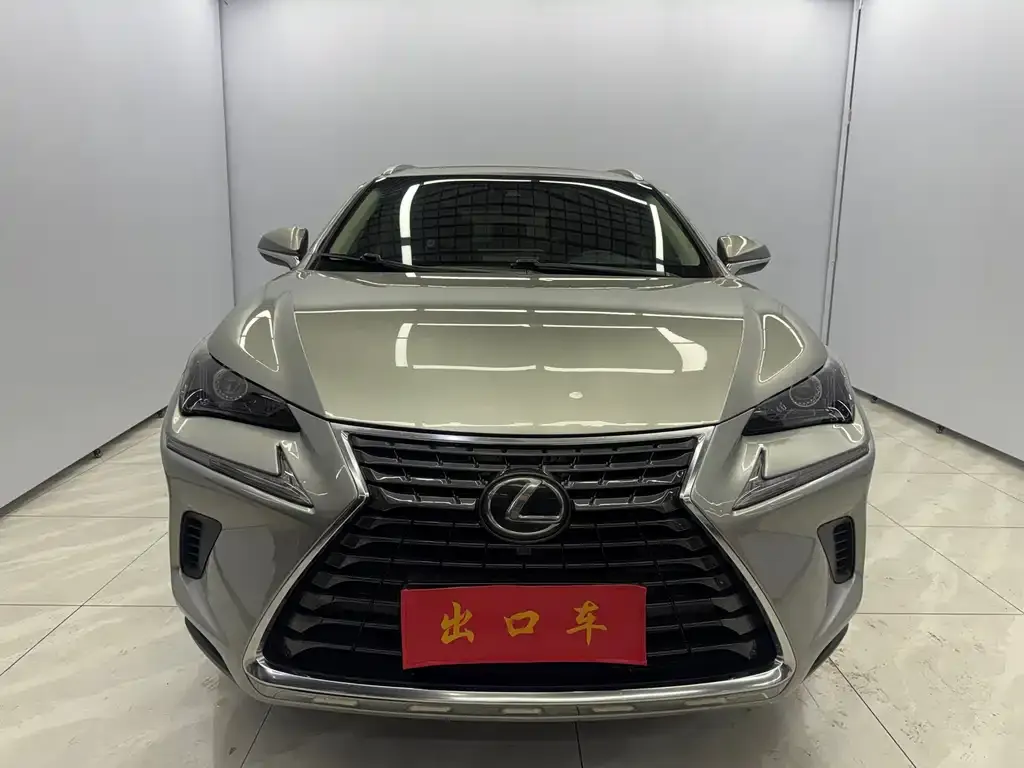 Lexus NX 2021 из CN, фото 2