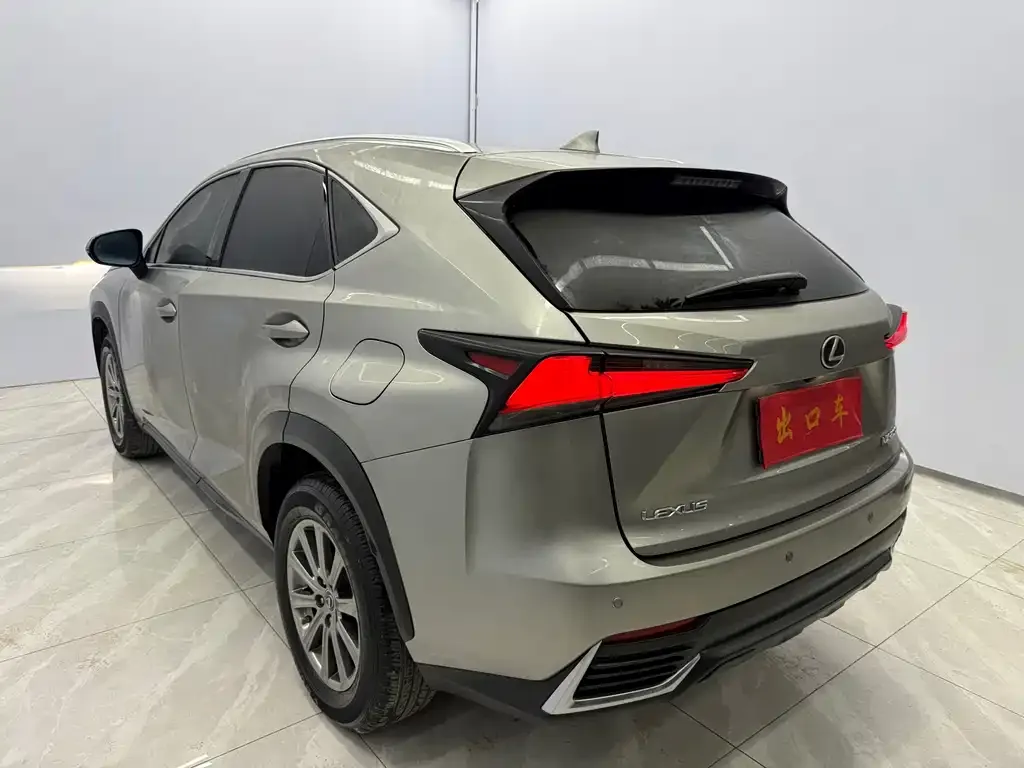 Lexus NX 2021 из CN, фото 5