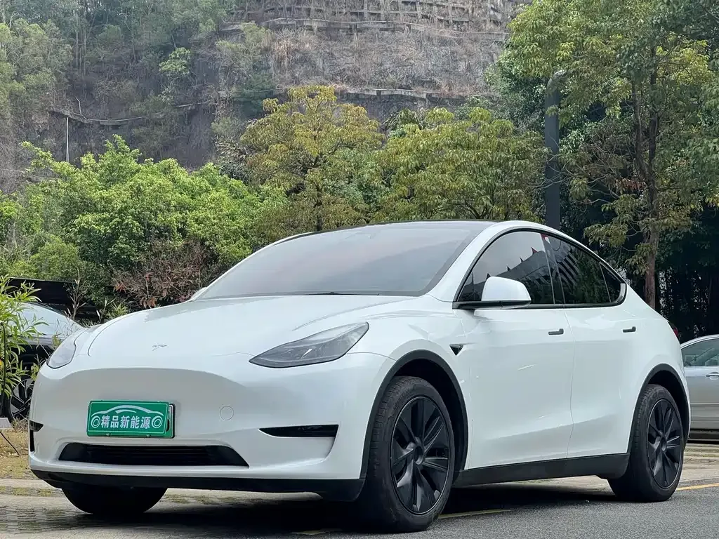 Tesla Model Y 2024 из CN, фото 1