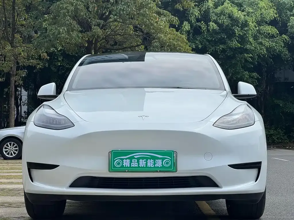 Tesla Model Y 2024 из CN, фото 7