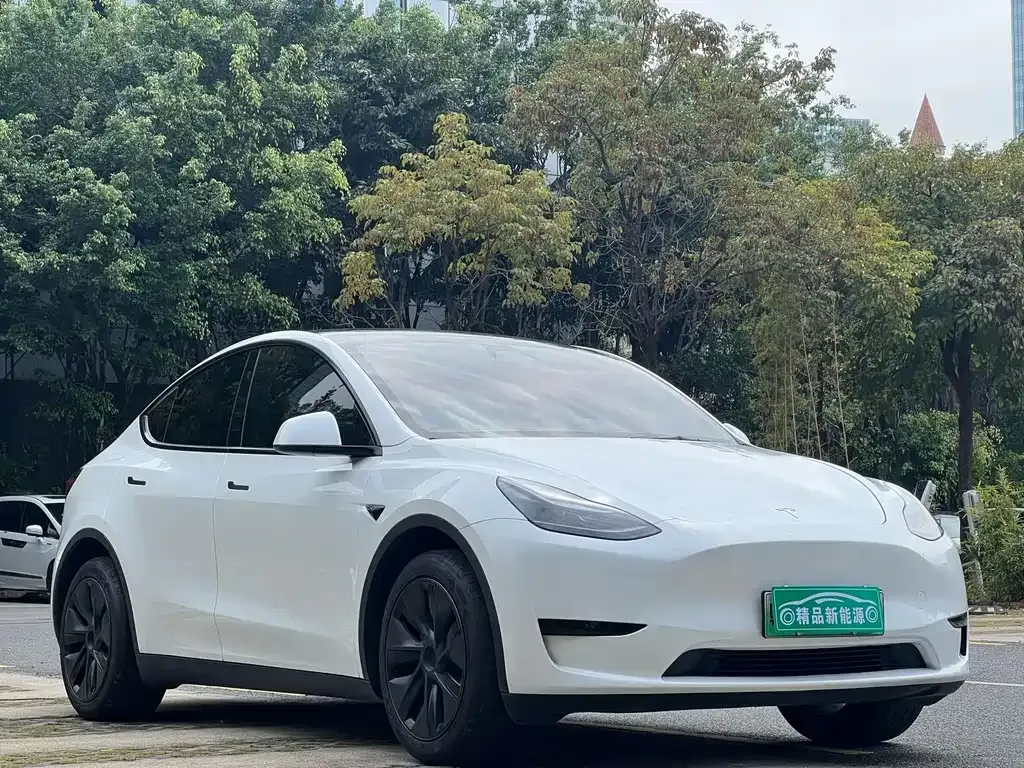 Tesla Model Y 2024 из CN, фото 10