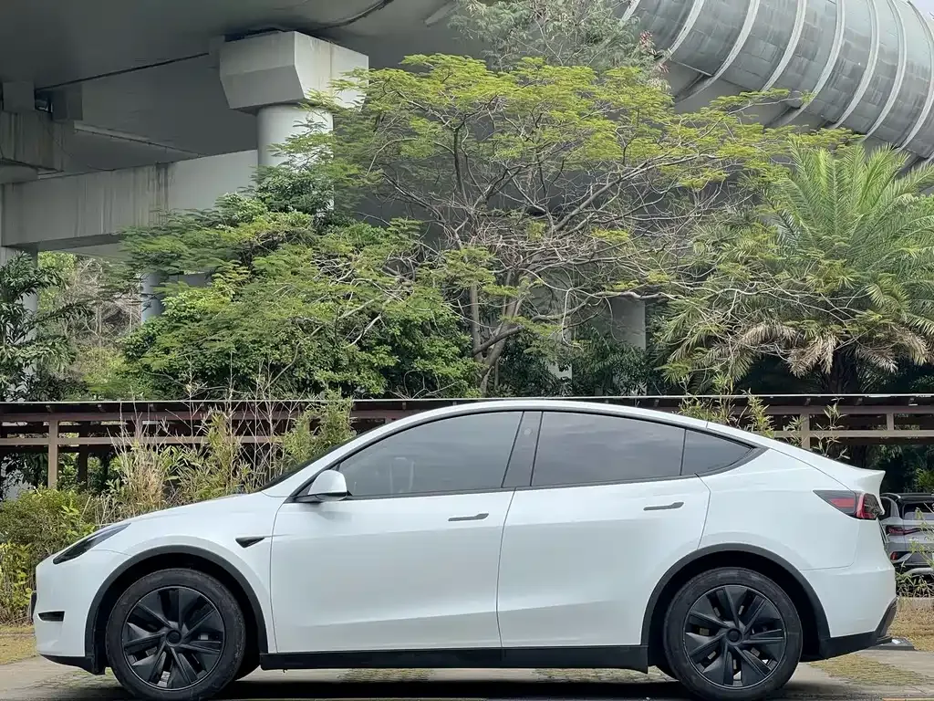 Tesla Model Y 2024 из CN, фото 8