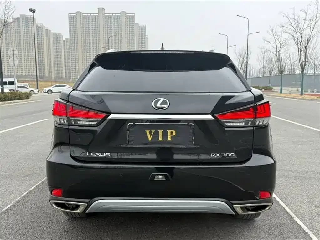 Lexus RX 2022 из CN, фото 9