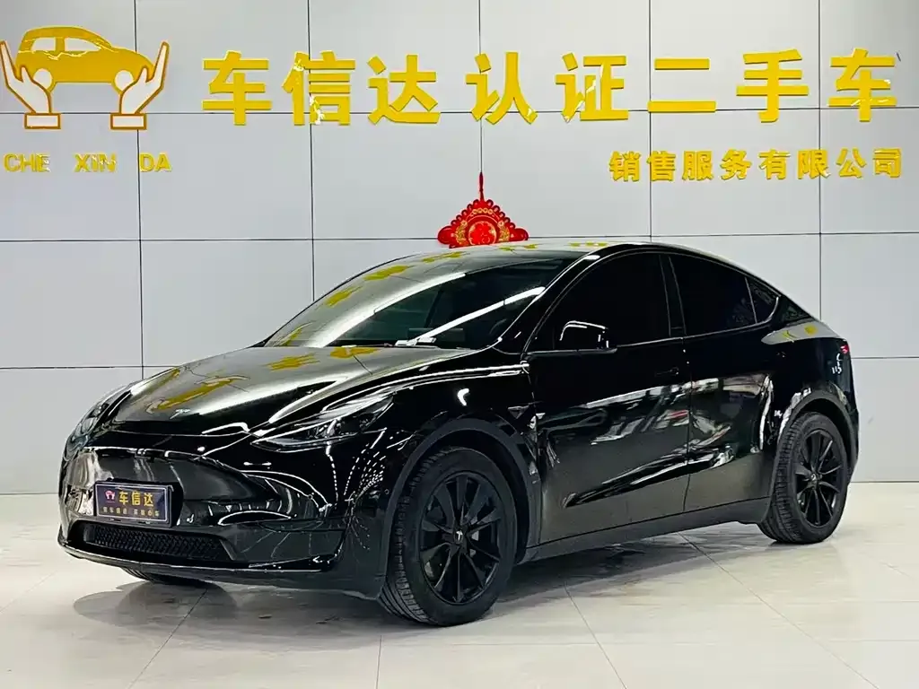 Tesla Model Y 2022 из CN, фото 1