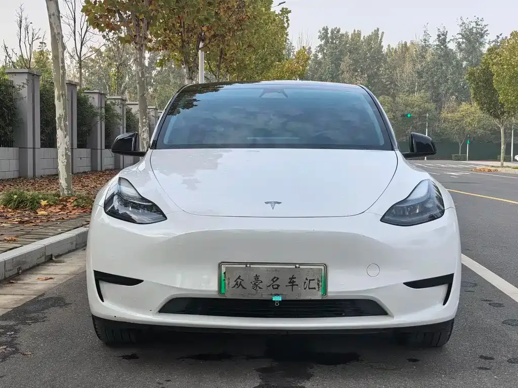 Tesla Model Y — фото 3