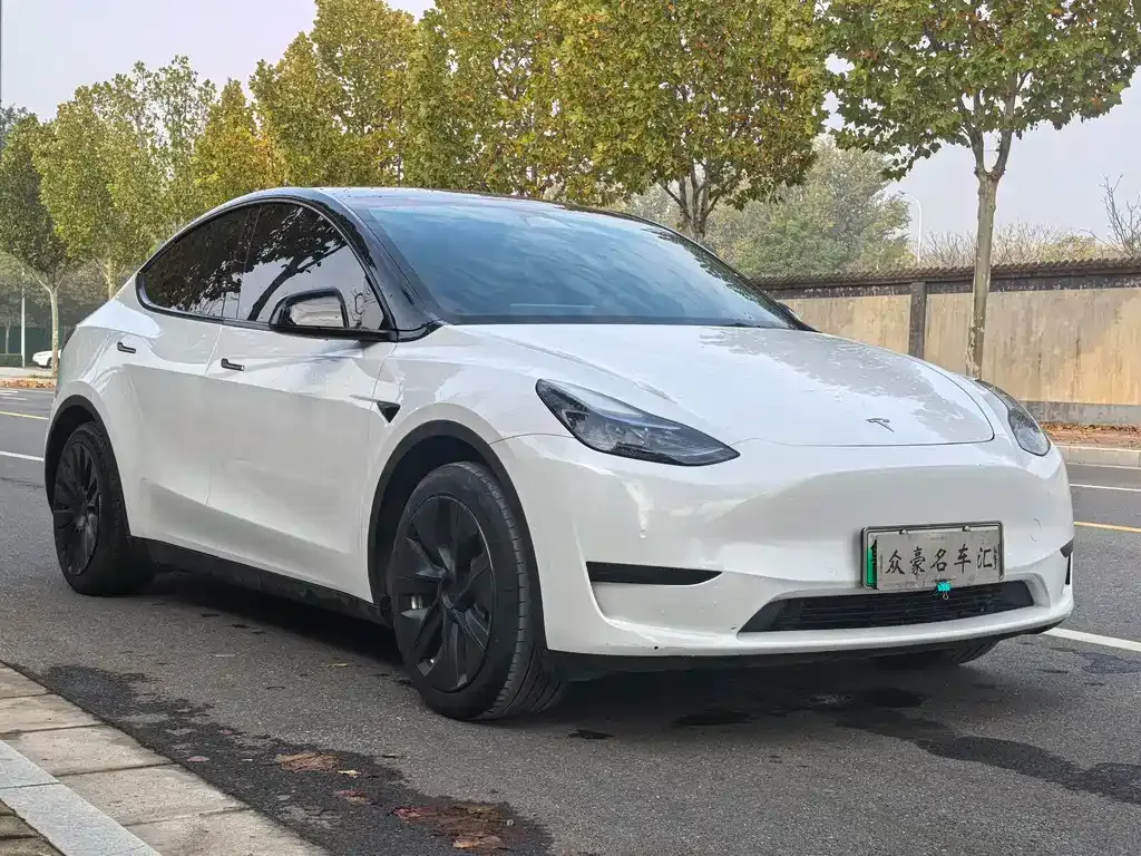Tesla Model Y — фото 10
