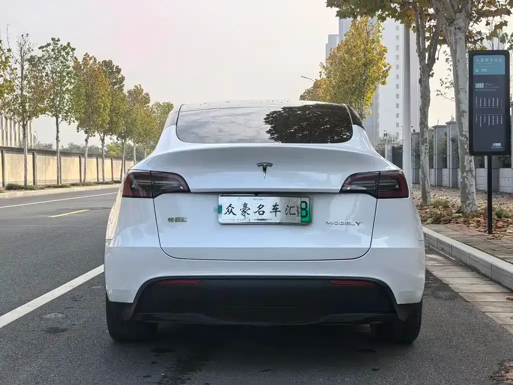 Tesla Model Y — фото 9