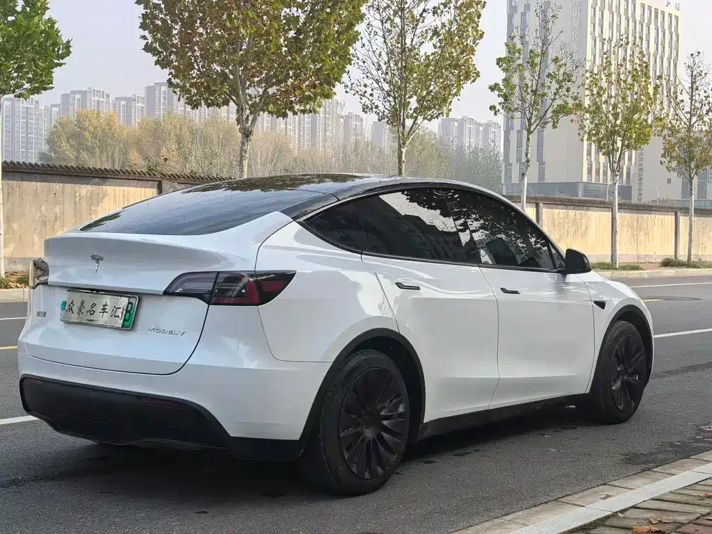 Tesla Model Y — фото 6