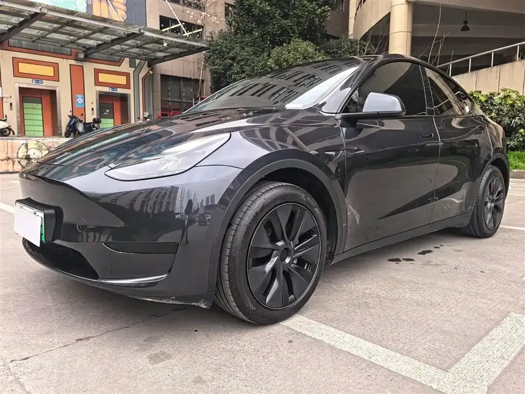 Tesla Model Y — фото 8
